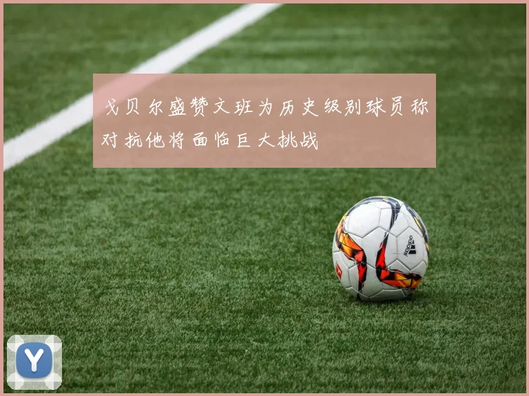 戈贝尔盛赞文班为历史级别球员称对抗他将面临巨大挑战